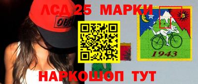 шишки Ставрополь