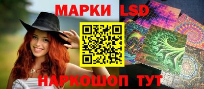шишки Ставрополь