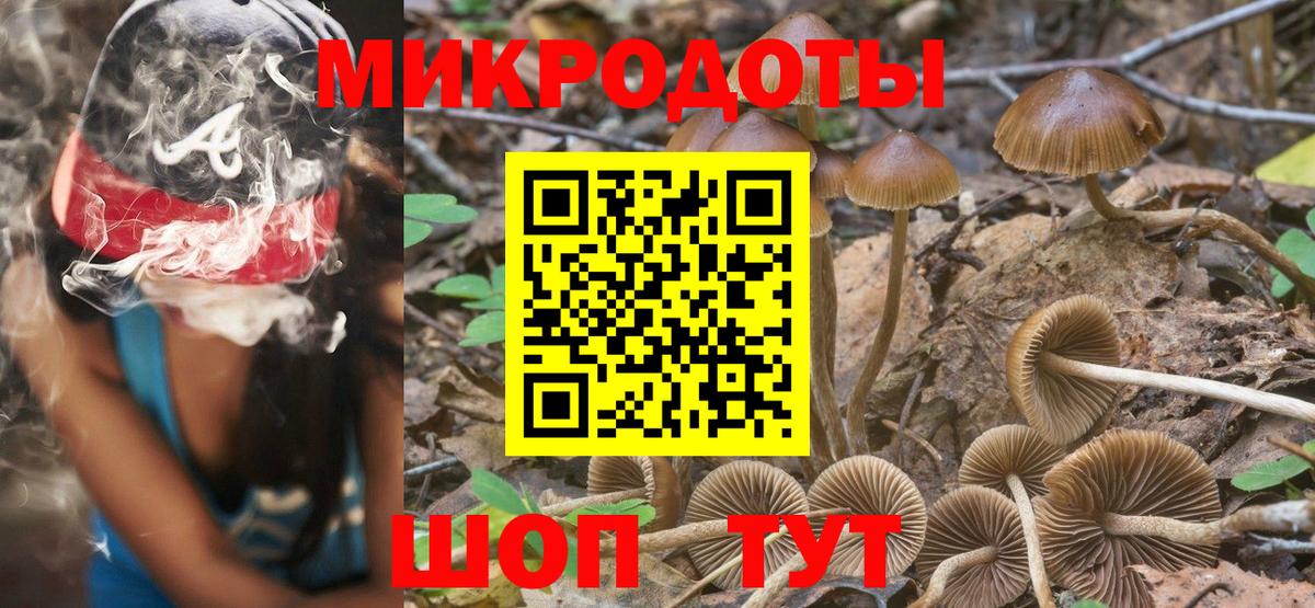 Галлюциногенные грибы MAGIC MUSHROOMS  Вход с VPN  Псилоцибиновые грибы мицелий  Новый Уренгой 